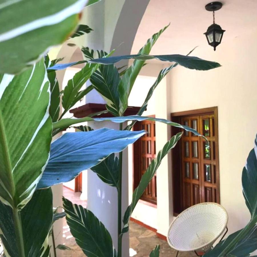 Hotel La Ceiba เชียปา เด กอร์โซ ภายนอก รูปภาพ